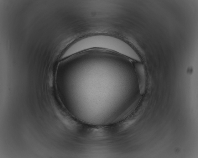 X0000093260068200710171458