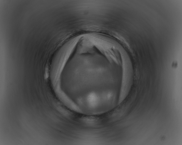 X0000093260069200710171458