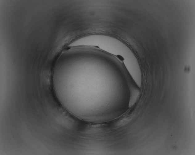 X0000093260072200710171458