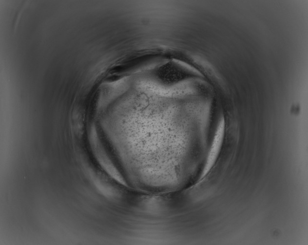 X0000093260074200710171458