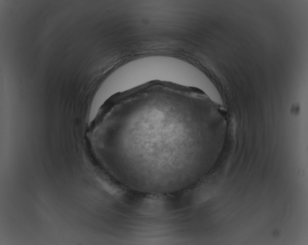 X0000093260076200710171458