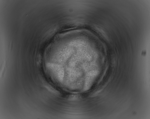 X0000093260077200710171458