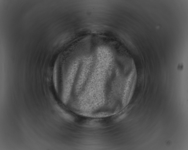 X0000093260078200710171458