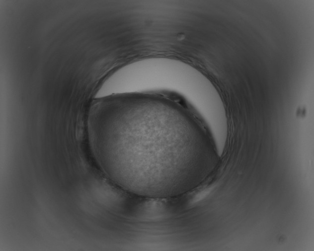 X0000093260080200710171458