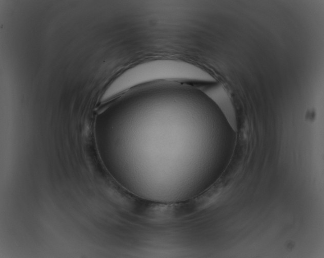 X0000093260084200710171458