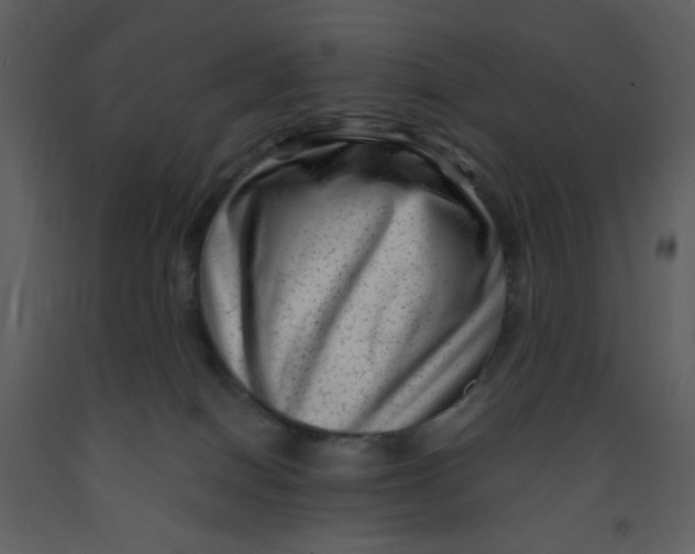 X0000093260086200710171458