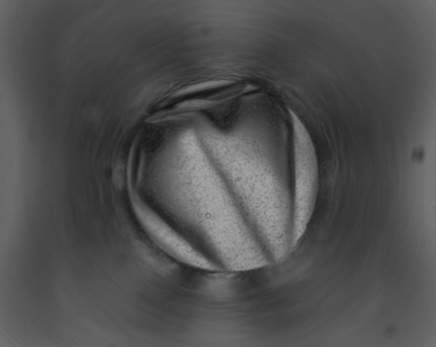 X0000093260090200710171458