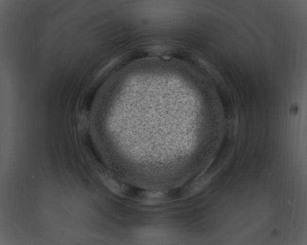 X0000093260093200710171459