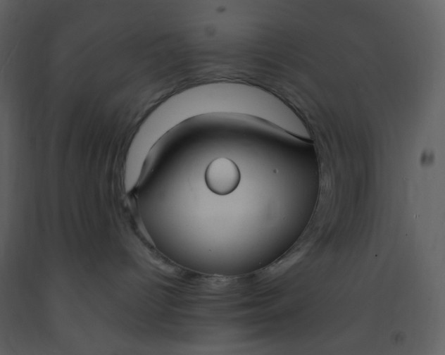 X0000093260096200710171459