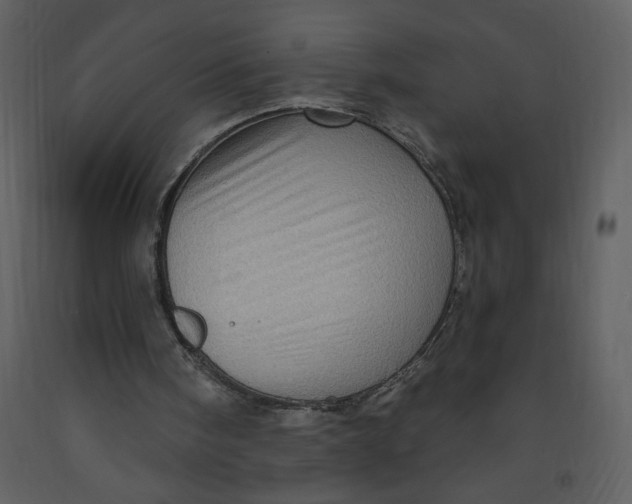 X0000093260098200710171458