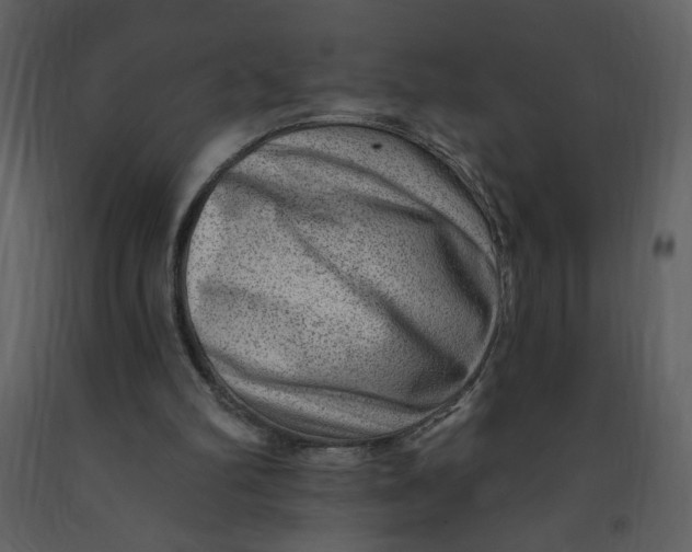 X0000093260102200710171458