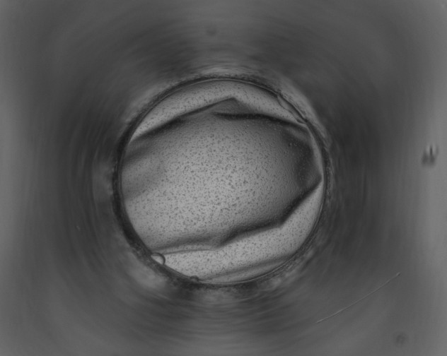 X0000093260106200710171458