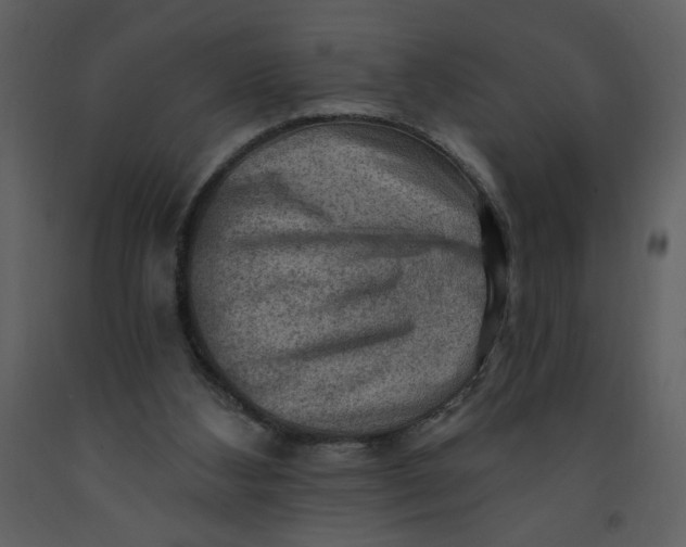 X0000093260108200710171458