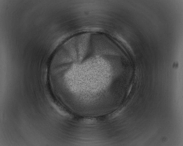 X0000093260110200710171458