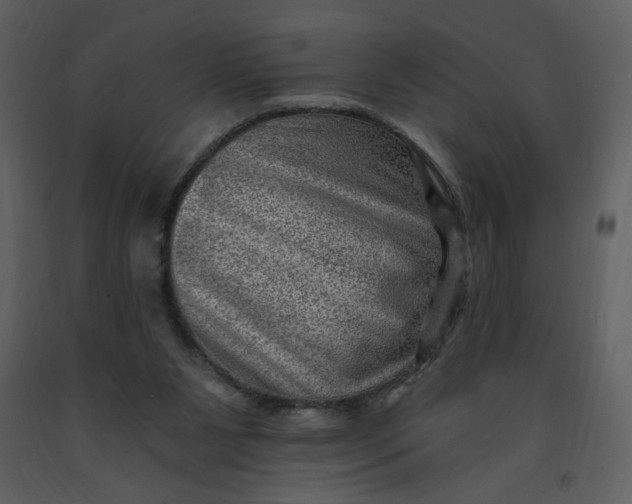 X0000093260111200710171458