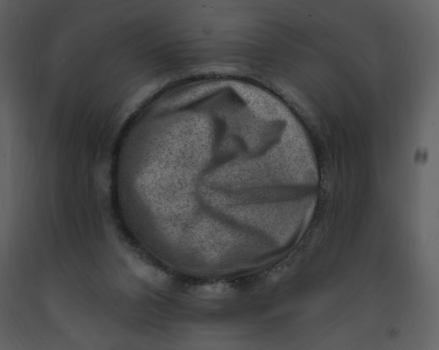 X0000093260112200710171458