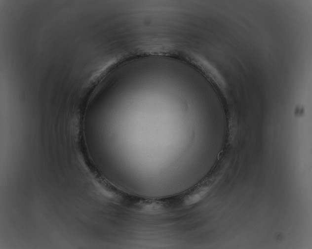 X0000093260113200710171458