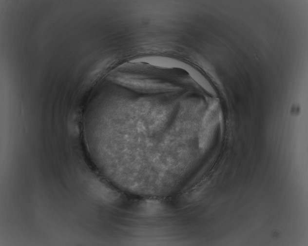 X0000093260114200710171458