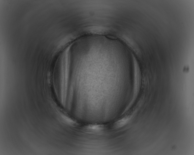 X0000093260117200710171458