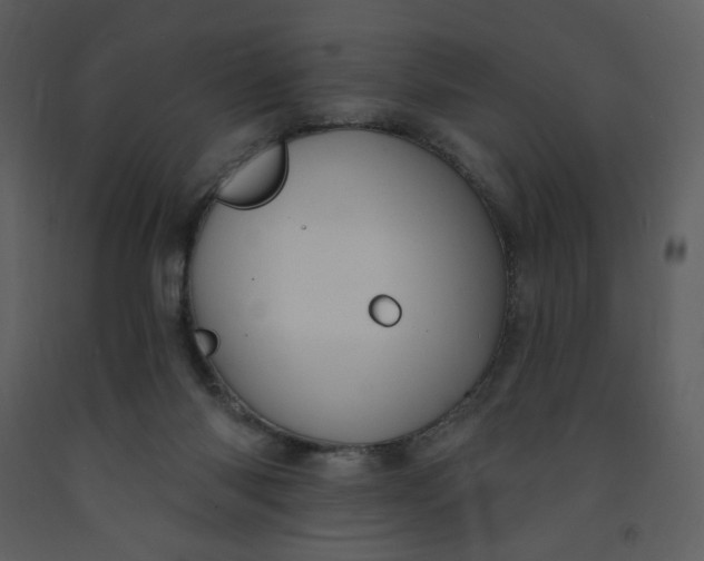 X0000093260118200710171458