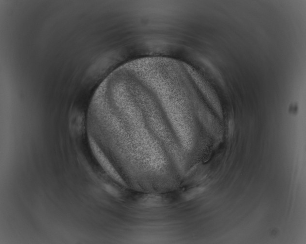 X0000093260123200710171458