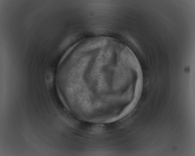 X0000093260124200710171458