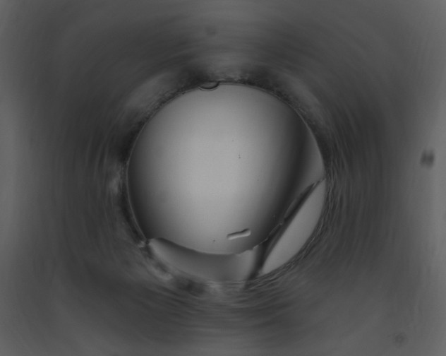 X0000093260125200710171458