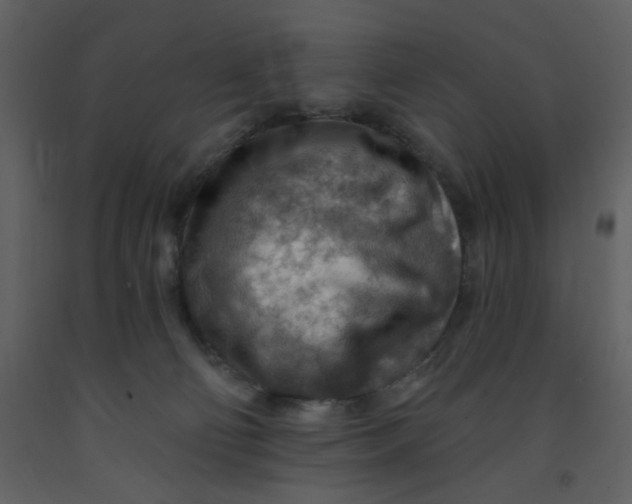 X0000093260130200710171457