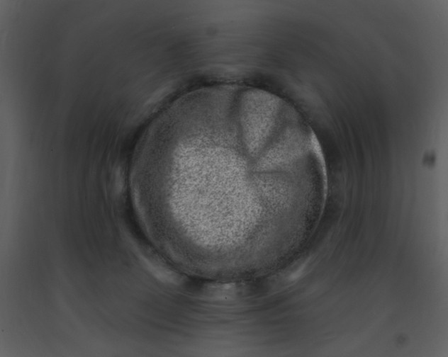 X0000093260131200710171457