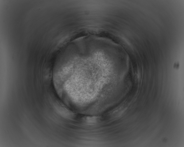 X0000093260134200710171457