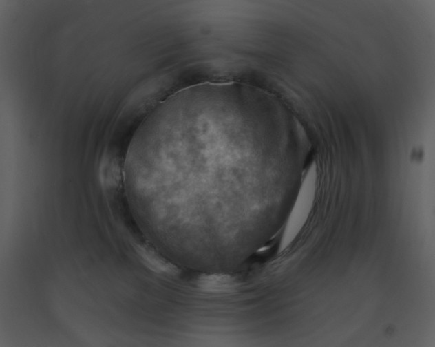 X0000093260137200710171457