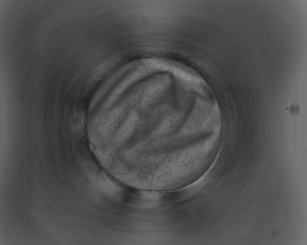 X0000093260144200710171457