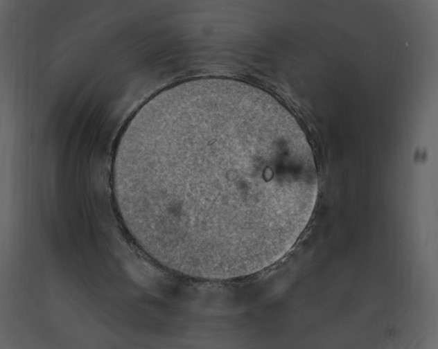 X0000093260146200710171457