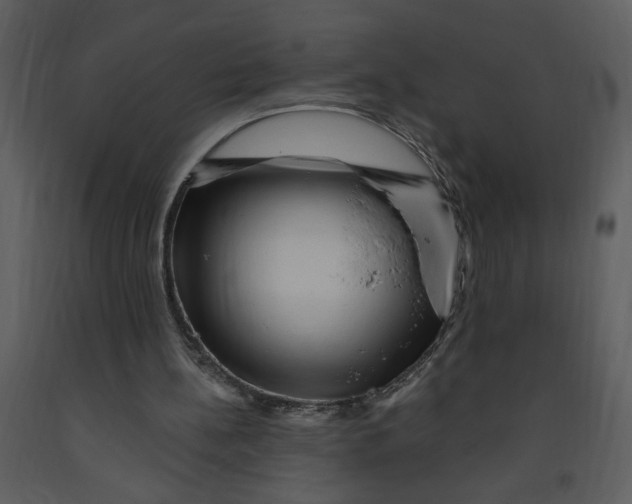 X0000093260148200710171457