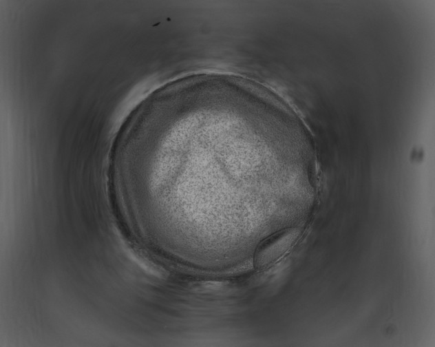 X0000093260151200710171457