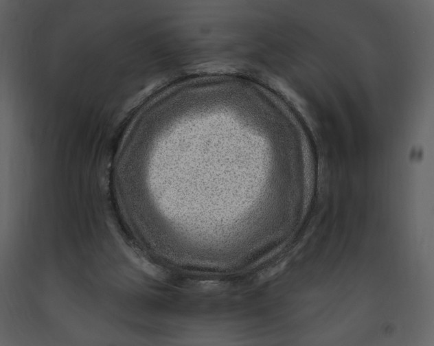 X0000093260153200710171457