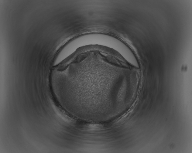 X0000093260154200710171457