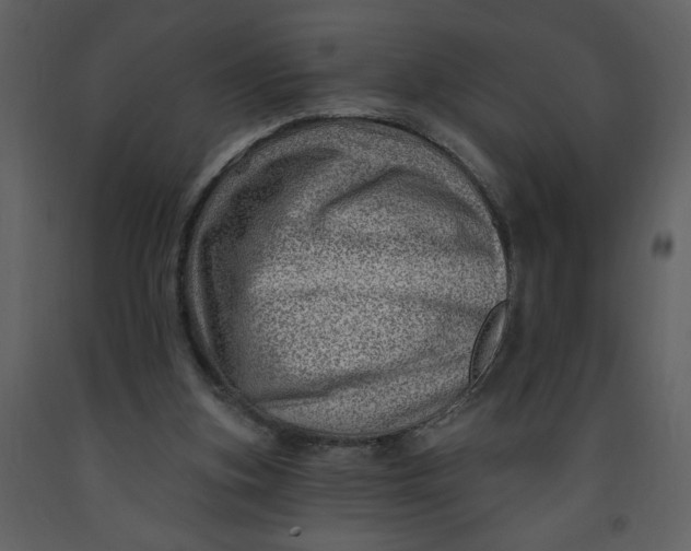 X0000093260155200710171457