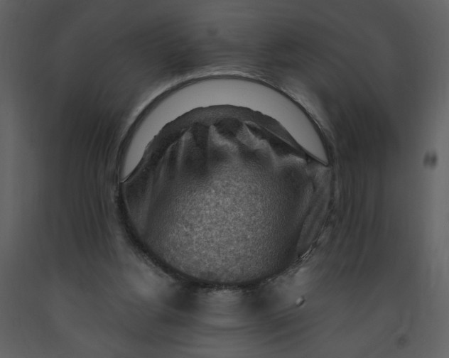 X0000093260156200710171457