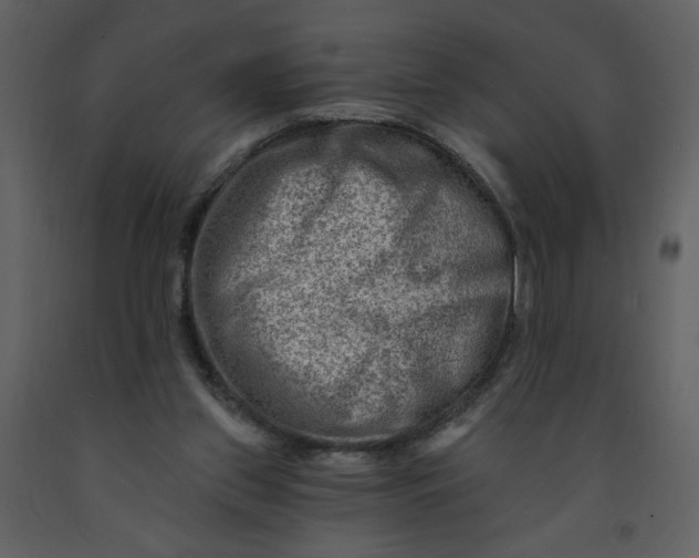 X0000093260157200710171457