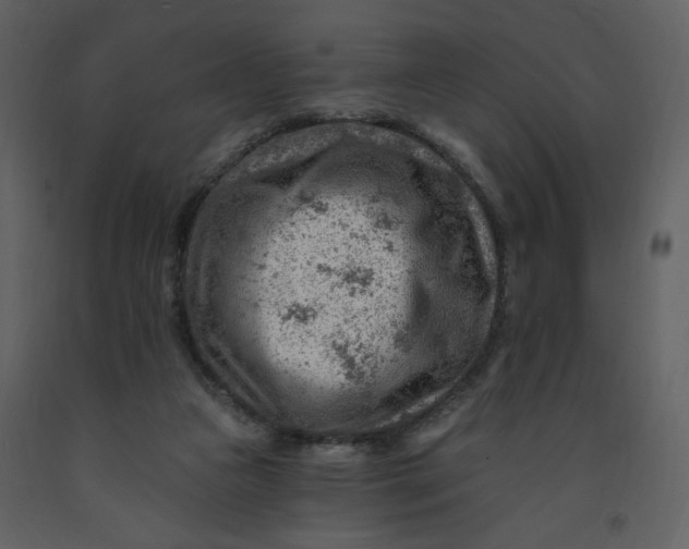 X0000093260161200710171457