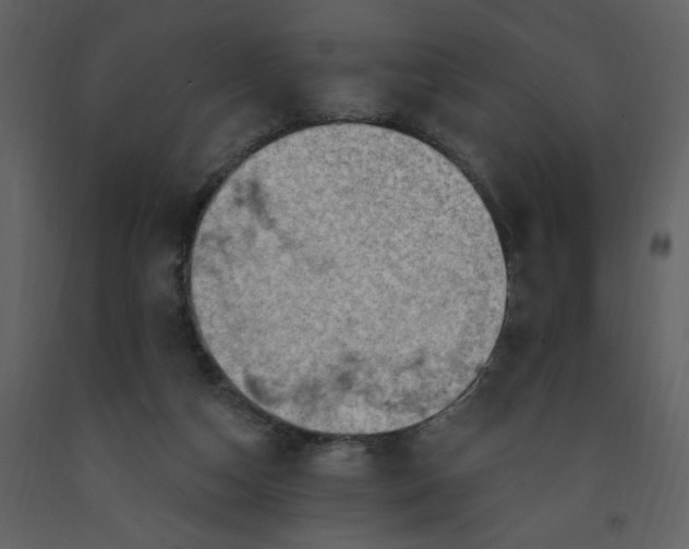 X0000093260162200710171457