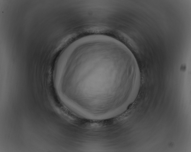 X0000093260163200710171457