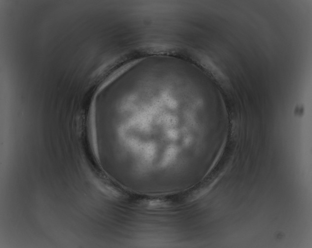 X0000093260165200710171457