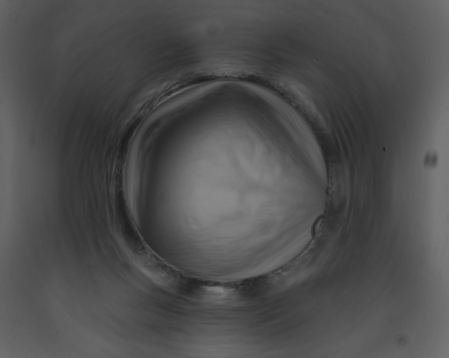 X0000093260167200710171457