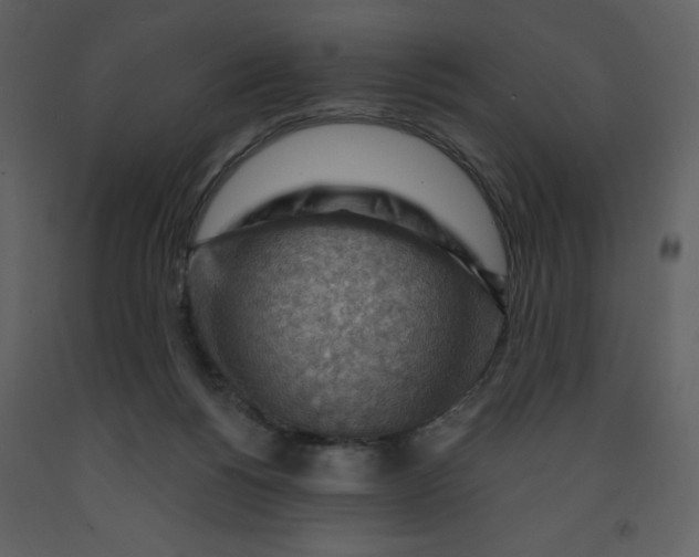 X0000093260168200710171457