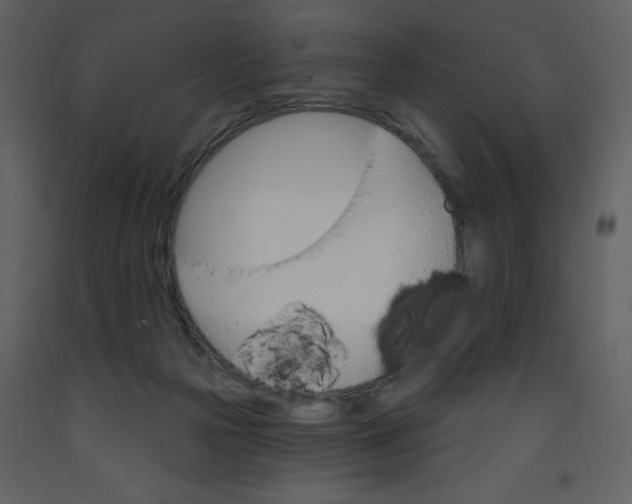 X0000093260169200710171457