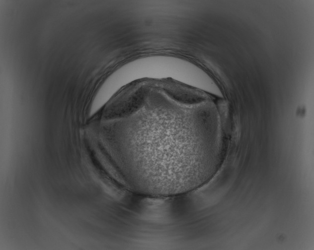 X0000093260170200710171457