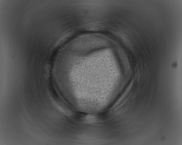 X0000093260171200710171457