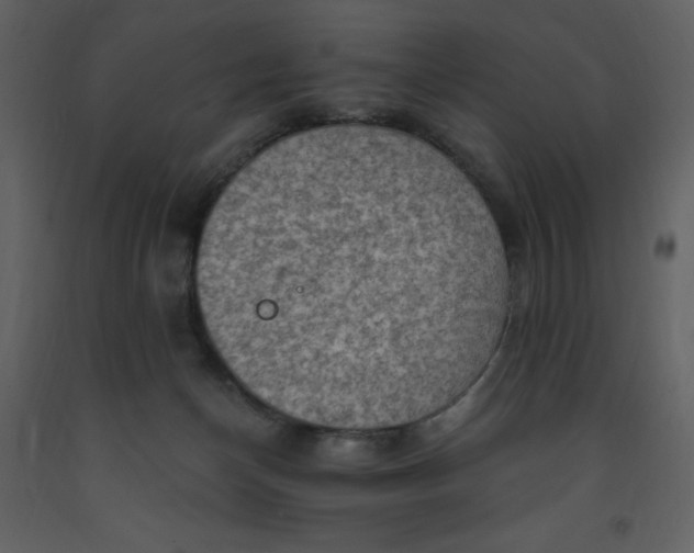 X0000093260174200710171457